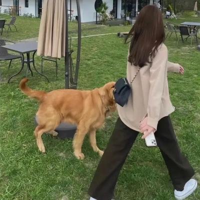 蹄声艳影
